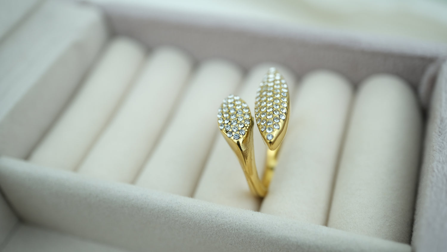 Geometrischer Blattring mit schillerndem Effekt